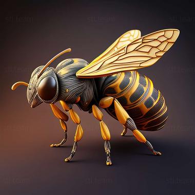 3D модель Helophilus trivittatus (STL)